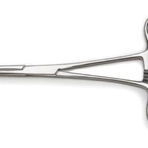 Babcock Forceps (Straight)