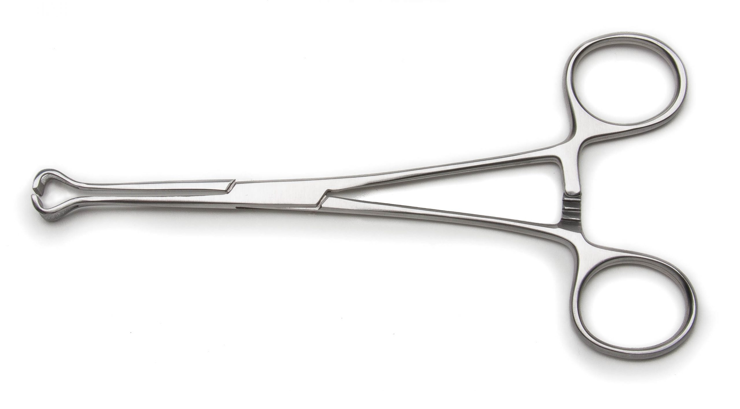 Babcock Forceps (Straight)