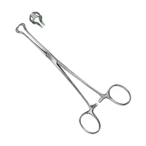 Babcock Forceps (Straight)