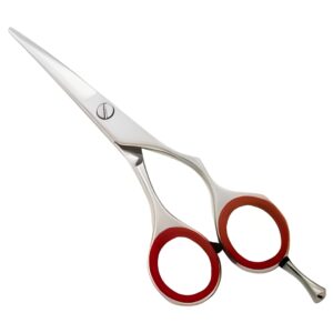 Professional Barber Scissor