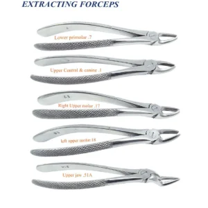 Extraction Forceps – 12 ≈ 18 cm